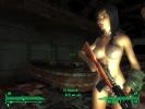 Type 3 BB Armor and body replacer