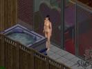 Sims 1 (4 in 1)