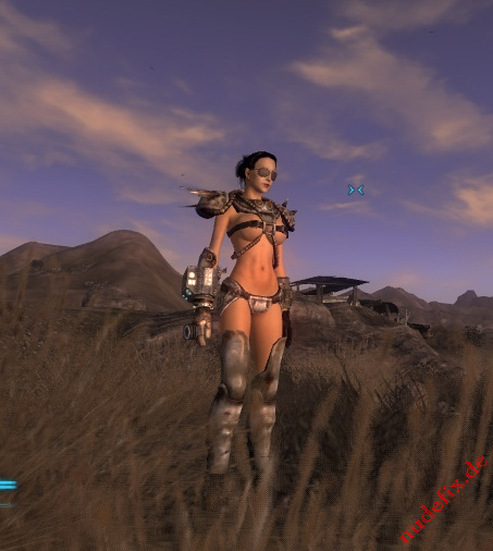 Fallout New Vegas 6 (by voodoo36)