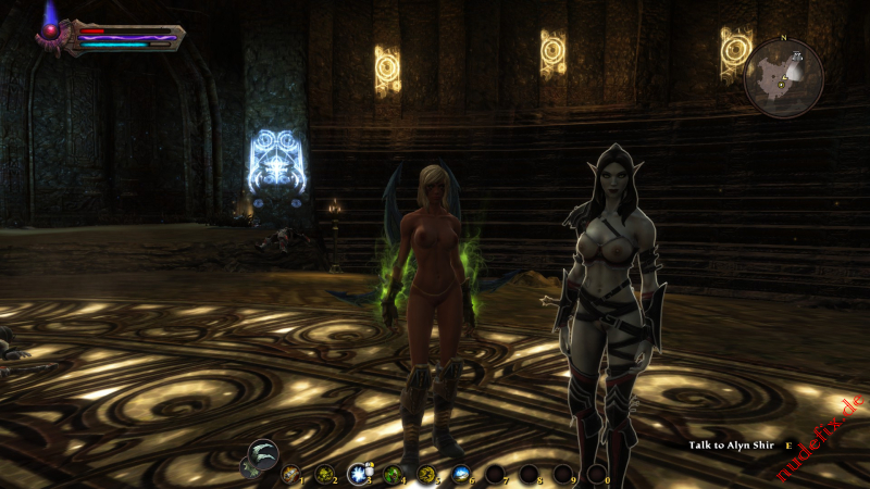 Player and Alyn Kingdoms of Amalur (by noswal)